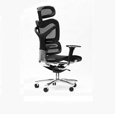 Spinergo Manager Chair Teaser